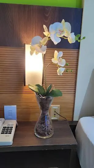 Natal Plaza Ponta Negra Apartamento 0*,  Brasil